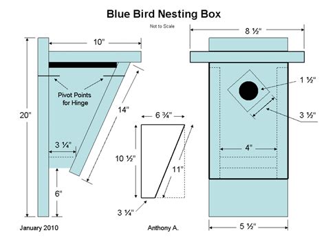 org Materials List NABS 2020 Bluebird Nestbox saf 1242020 Standard board 1" x 6" x 4&x27; long, (or 1"x 6" x 6&x27;, see below) Standard board 1" x 10" x 12" long for roof. . Printable free printable bluebird house plans